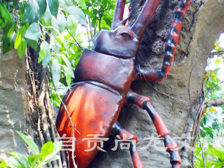 甲殼蟲